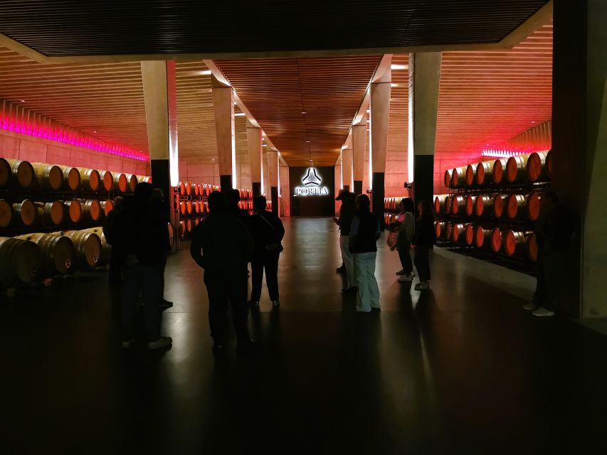 Ribera del Duero wine region private tour - Tempranillo in two different styles