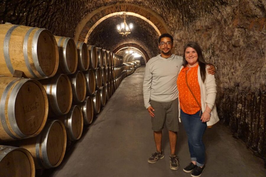 Ribera del Duero wine region private tour - What $412 per person really covers