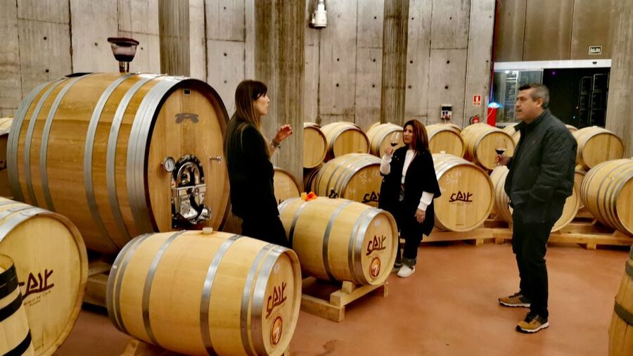 Ribera del Duero wine region private tour - The main concern: winery expectations