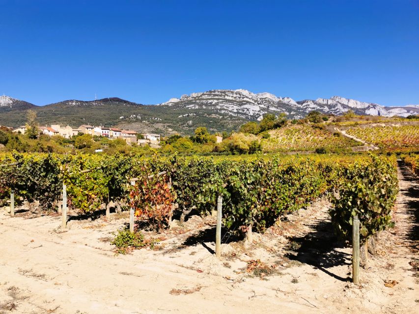 Ribera del Duero wine region private tour - The 105-minute ride from Madrid