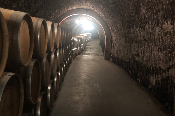 Ribera del Duero Wine Tour: Two Wineries and Tasting - Key points to know