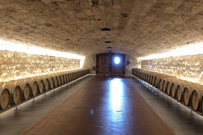 Ribera del Duero Wine Tour: Two Wineries and Tasting - Bodegas Ismael Arroyo and the underground tunnels