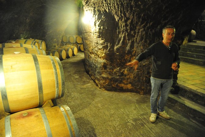 Ribera del Duero Wineries Guided Tour & Wine Tasting from Madrid - A flexible Castilian lunch in Roa