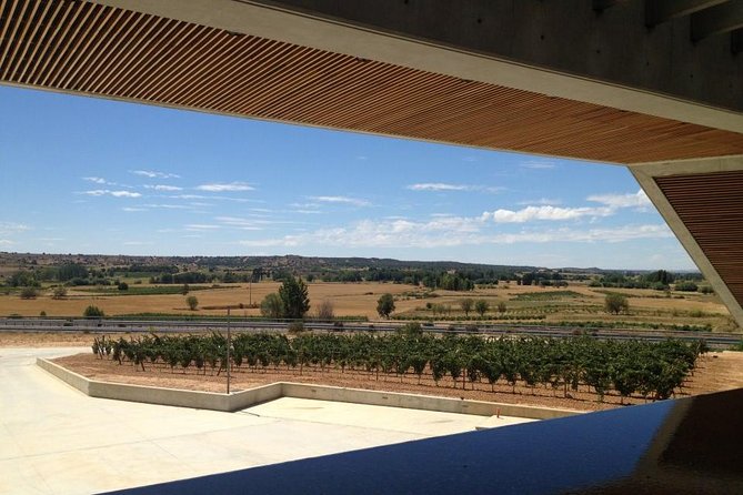 Ribera del Duero Wineries Guided Tour & Wine Tasting from Madrid - Curiel de Duero and the underground wine tunnels
