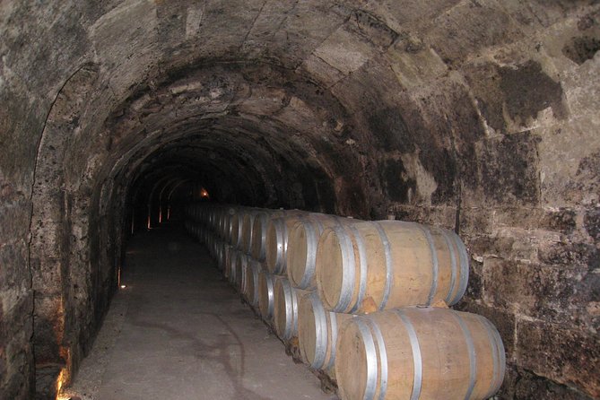 Ribera del Duero Wineries Guided Tour & Wine Tasting from Madrid - Modern wine architecture near Sotillo de la Ribera