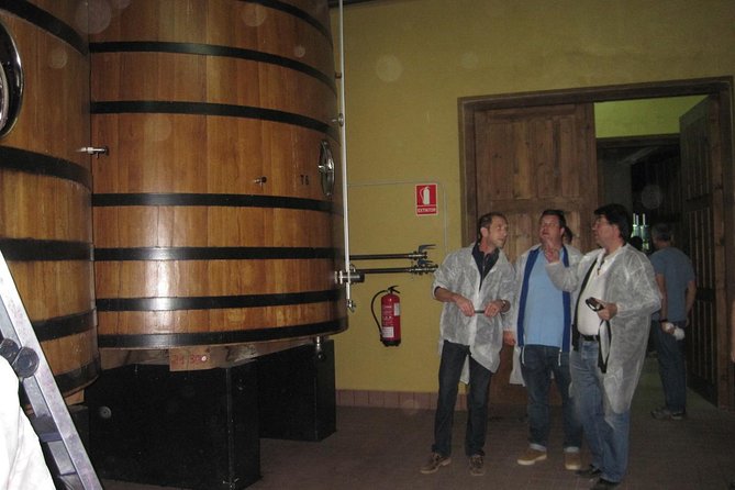 Ribera del Duero Winery Guided Tour and Wine Tasting from Madrid - The morning ride with Ignacio