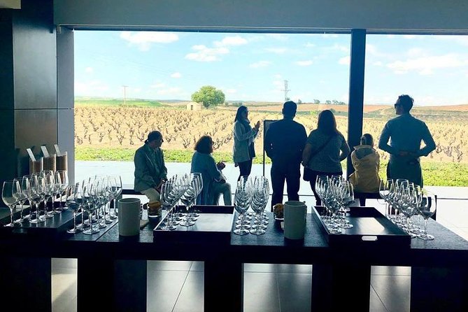 Ribera del Duero Winery Guided Tour and Wine Tasting from Madrid - The second and possible third winery