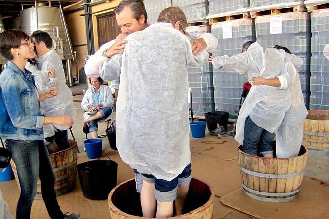 Ribera del Duero Winery Guided Tour and Wine Tasting from Madrid - Castles and medieval towns after the wine