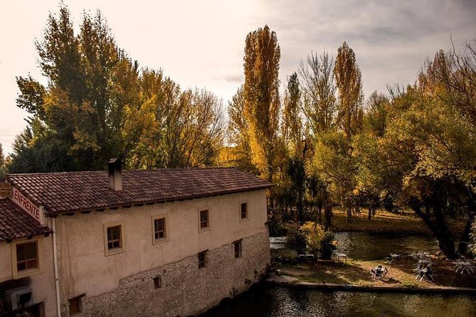 Ribera del Duero Winery Guided Tour and Wine Tasting from Madrid - What the $191.87 price buys you
