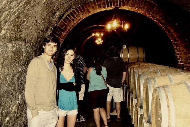 Ribera del Duero Winery Guided Tour and Wine Tasting from Madrid - First winery: learning the character of the region