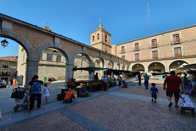 Salamanca and Avila Private Tour from Madrid with Hotel Pickup - Weather and cancellation details to keep in mind