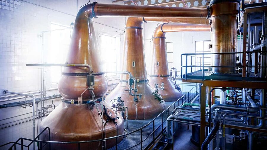 Segovia: DYC Distillery guided visit with whiskey tasting - Key points to know before you book