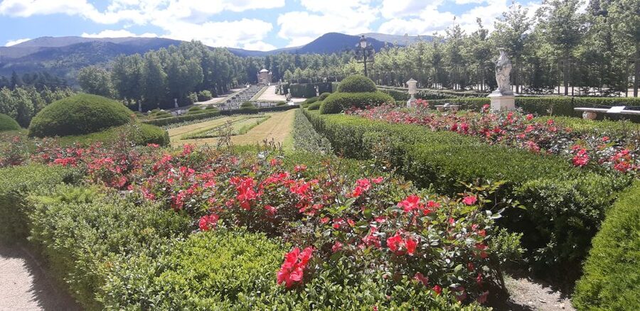 Segovia: Royal Palace of La Granja de San Ildefonso Tour - A guide-led visit with a Spanish focus