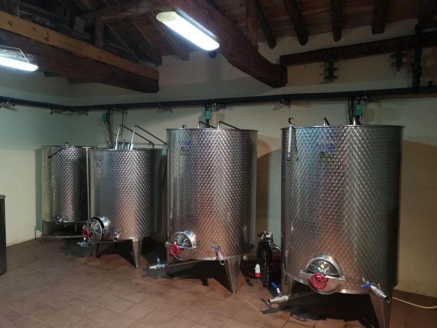 Segovia: Winery Tour with Wine Tasting - Key points to know before you book