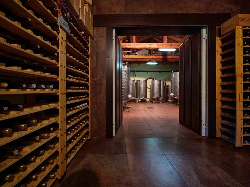 Segovia: Winery Tour with Wine Tasting - What the guides add to the visit