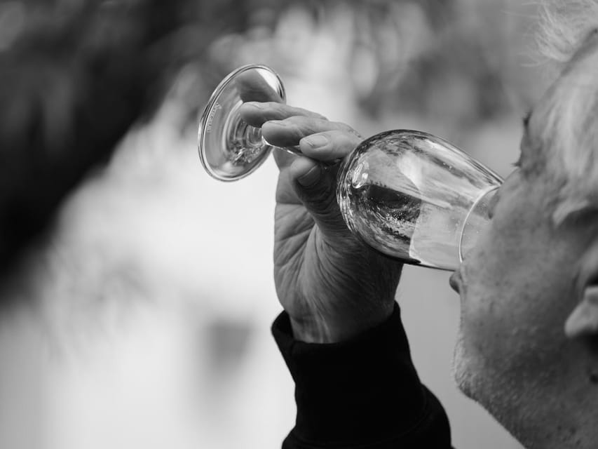 Segovia: Winery Tour with Wine Tasting - The practical details that matter most
