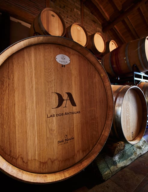 Segovia: Winery Tour with Wine Tasting - Arriving in Navas de Oro from Segovia