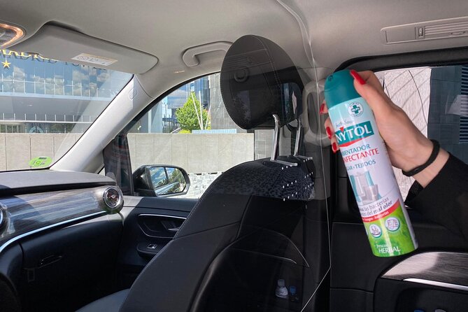Shuttle Transfer Arrivals: Madrid Airport to City Center - Meeting your driver after landing