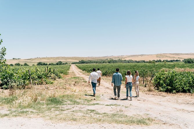 Spanish Villages & Winery Visit with Wine Tasting and Tapas Lunch - What the wine tasting and tapas lunch really mean