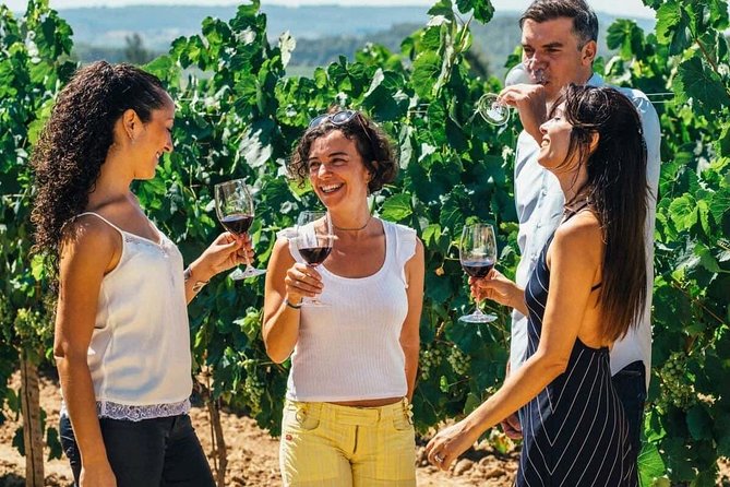 Toledo Tour & Vineyard Walk with Wine Tasting from Madrid - Why this Madrid day trip works