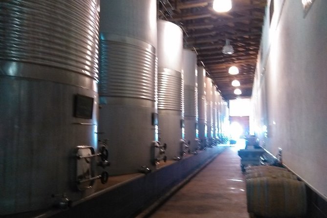 Toledo, Windmills, Winery Small Group Tour with Lunch from Madrid - A Winery Lunch in La Mancha
