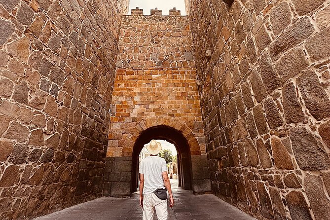 Travel through Segovia and Avila in a Small Group from Madrid - Meeting at Puerta de ODonnell