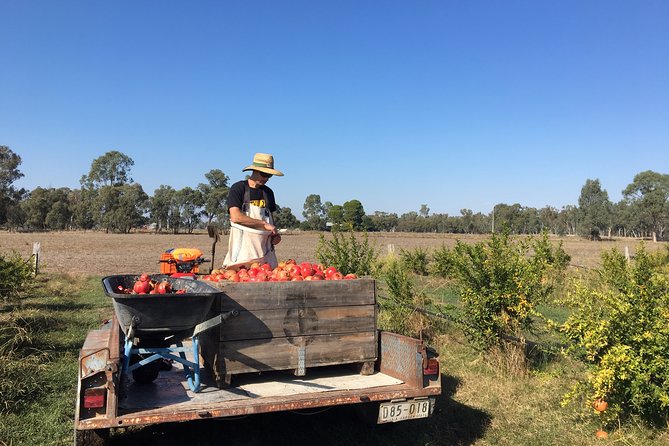Unspoiled Spain: Food & Wine Tasting for Foodies & Nature Lovers - The farm-to-table meal in Paul’s home