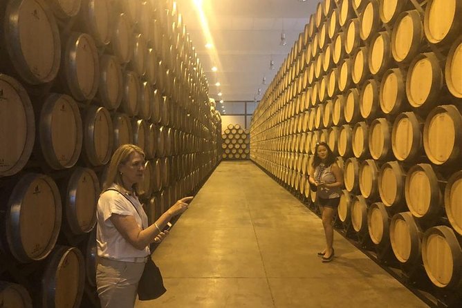 Windmills of Don Quixote Wine Tour & Tasting from Madrid - Castles, old villages, and optional extras