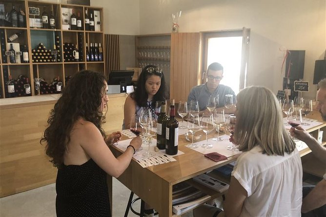 Windmills of Don Quixote Wine Tour & Tasting from Madrid - What the small group changes